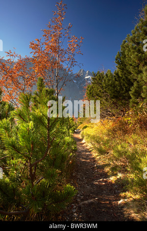 High Tatra mountain peaks viewed through autumnal trees from the Zelene Pleso mountain track in Slovakia Stock Photo