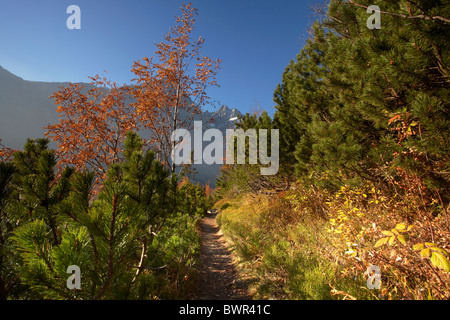 High Tatra mountain peaks viewed through autumnal trees from the Zelene Pleso mountain track in Slovakia Stock Photo