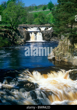 A summer view of Low Force Waterfall and River Tees in Teesdale, County Durham Stock Photo