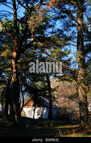 Farmhouse in forest, Ukraine, eastern Europe Stock Photo