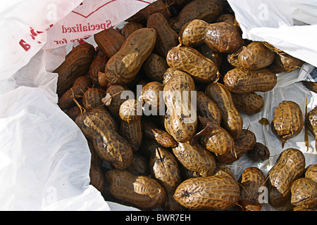 Florida Boiled Peanuts, Video published by CookitwithTim