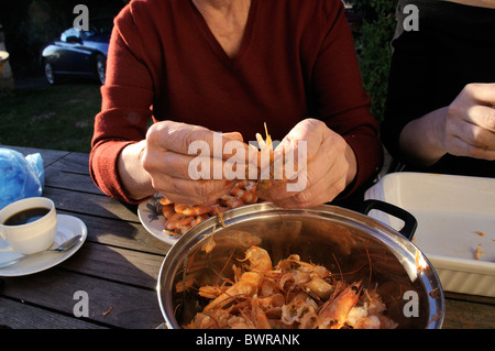 Close up of Womans Shelling prawns over pot Stock Photo