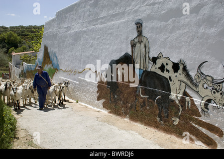 spanish farmer walking through street with herd of goats, Castilla la Mancha, Spain Stock Photo