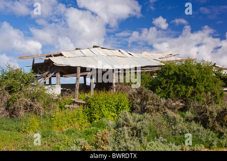 An abandoned homestead on the road from Buronga to Lake Mungo in south west New South Wales Stock Photo