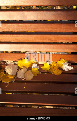 Autumn leaves on a park-bench in Venice. Stock Photo