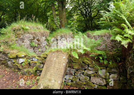 Ruins of the Cistercian Saddell Abbey on the Kintyre peninsula, Argyll & Bute, Scotland Stock Photo