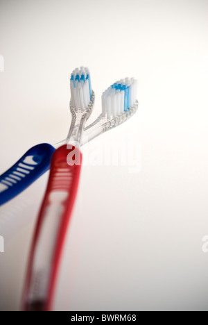 A pair of toothbrushes - togetherness. Stock Photo