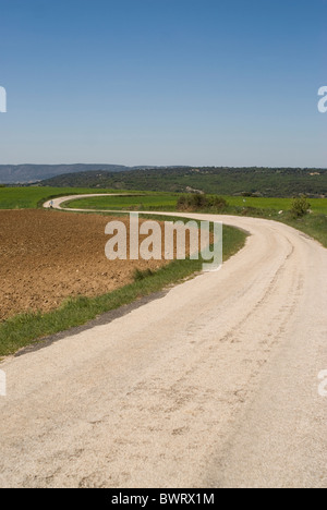 Wheat field. Alcarria area. Guadalajara province. Castile La Mancha. Spain Stock Photo
