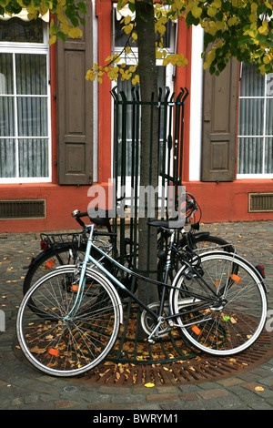 Two cycles locked to a tree. Stock Photo