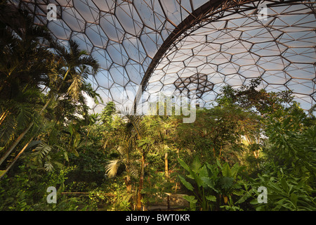 Biomes at the Eden Project Cornwall UK Stock Photo