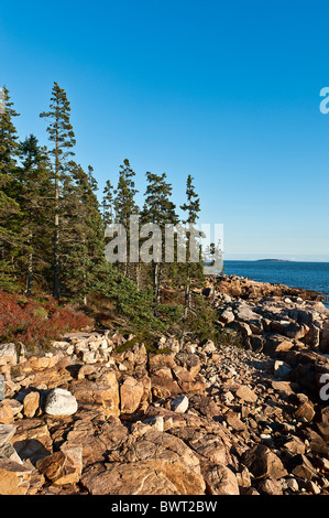 Rocky coast at Ship Harbor, Acadia NP, Maine, ME, USA Stock Photo