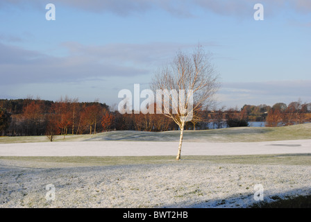 winter on a golf course Stock Photo