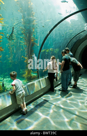 Aquarium in the Island Zone at the Ecosystems Exhibit at the California Science Center Stock Photo