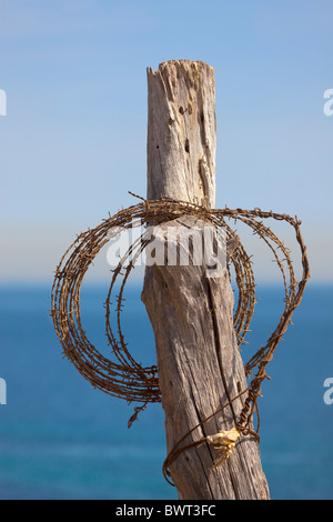 Roll of barbed wire hung on old fencing post. Sea in background. Stock Photo