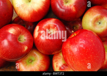 APPLE BUNDLE, A cluster of fresh red apples Stock Photo