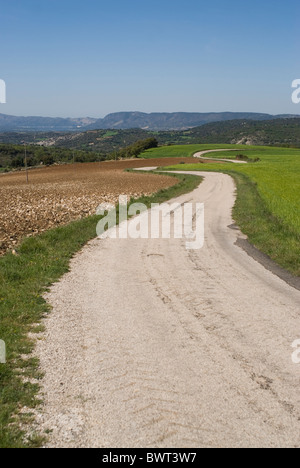 Wheat field. Alcarria area. Guadalajara province. Castile La Mancha. Spain Stock Photo