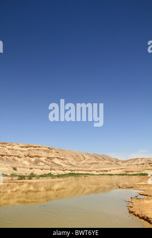 Negev Desert,Wadi Zin, Wilderness of Zin , Israel Stock Photo - Alamy