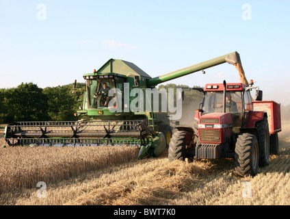 Tractor and trailer corn carting John Deer Combine Harvester Stock Photo