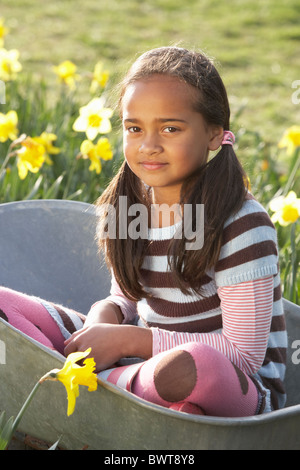 Girl On Sitting In Wheelbarrow In Daffodil Field Stock Photo