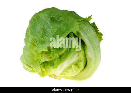 Green fresh iceberg isolated on white background Stock Photo