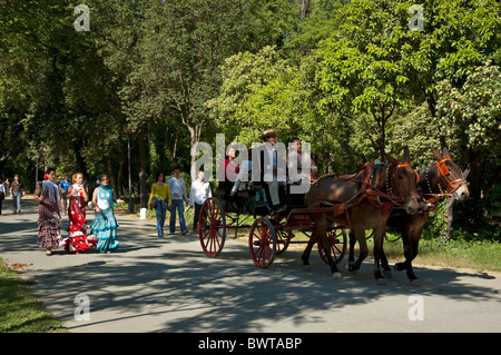 Women in flamenco dress and a barouche carriage in Maria Luisa Park during the Seville Spring Fair, Seville, Andalusia, Spain. Stock Photo