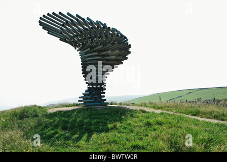 Tockington Tree The Singing Ringing tree designed by Anna Liu and Mike Tonkin. Situated ...
