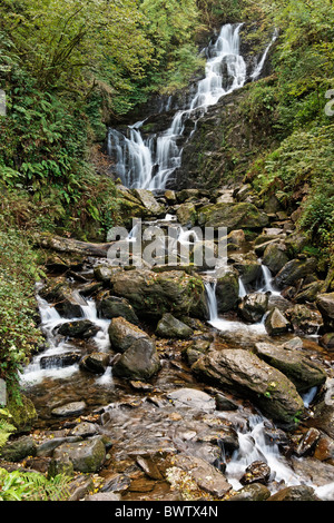 Torc waterfall, Killarney National Park, County Kerry, Munster, Ireland. Stock Photo