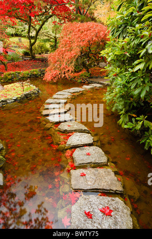 Japanese garden section of Butchart Gardens in autumn-Victoria, British Columbia, Canada. Stock Photo