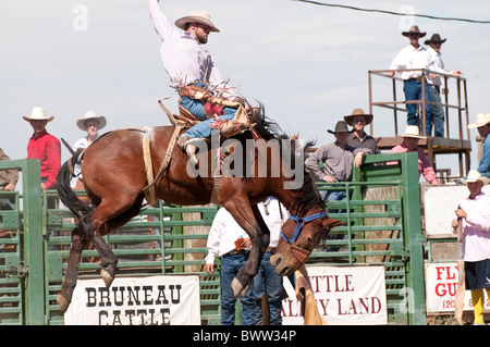 USA, Idaho, Bruneau Rodeo, Cowboy competing in Saddle Bronc Riding event. Stock Photo