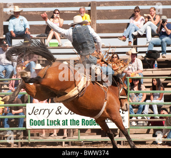 USA, Idaho, Bruneau Rodeo, Cowboy competing in Saddle Bronc Riding Horse event. Stock Photo