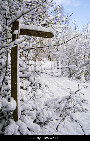Public footpath sign in snow covered wood Stock Photo