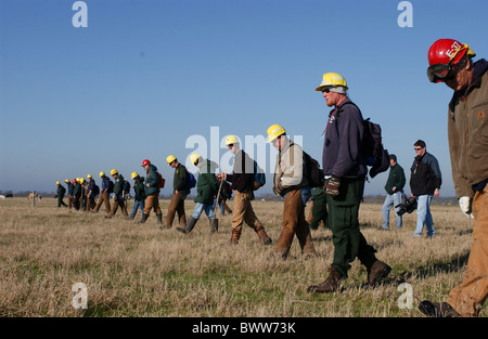 Members of firefighting teams walk shoulder-to-shoulder through an East Texas field searching for space shuttle Columbia debris Stock Photo
