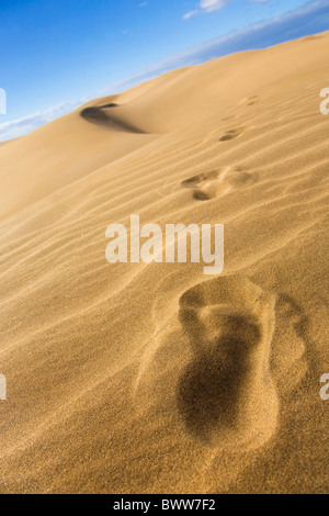 Footprints in the sand dunes. Stock Photo