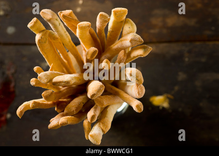 Artisanal Breadsticks on a rustic wood surface Stock Photo