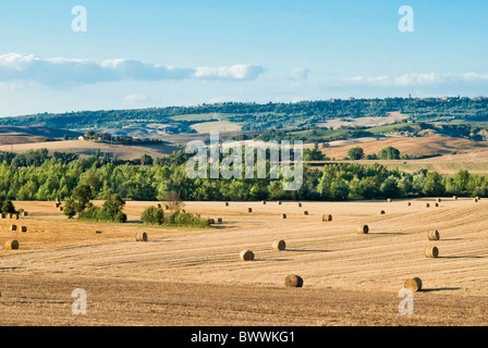 Countryside near San Qurico d'Orcia, Siena, Tuscany, Italy Stock Photo