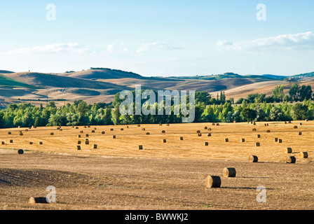 Countryside near San Qurico d'Orcia, Siena, Tuscany, Italy Stock Photo