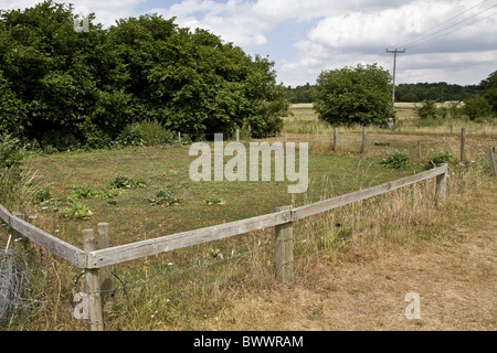 small grazing area suitable for pigs other farm Stock Photo