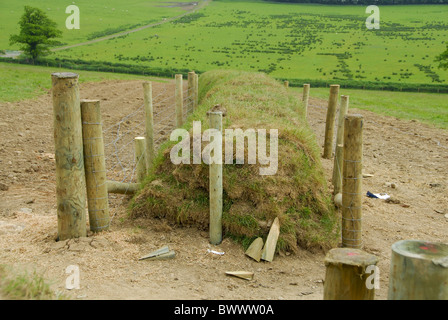 Recently rebuilt traditional Devon hedge bank Stock Photo