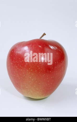 Domestic Apple (Malus domestica), variety: Gloster, fruit, studio picture. Stock Photo
