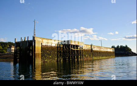 north road wharf fishing wharf bay of fundy fishing boat fishing boats low tide peir pier campobello island new brunswick Stock Photo