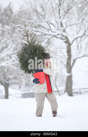 A man carries a Christmas Tree across a snow covered park. Picture by James Boardman. Stock Photo