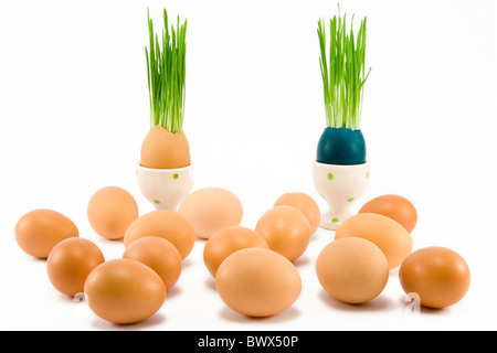 two eggs in egg-cup with growing grass among other eggs Stock Photo
