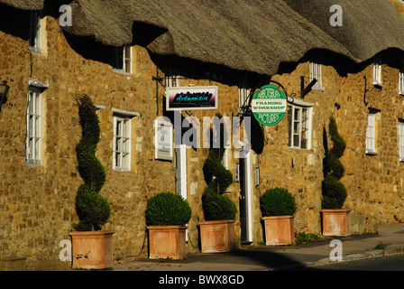 A row of thatched sandstone cottages with topiary planters in Abbotsbury, Dorset, UK October 2010 Stock Photo