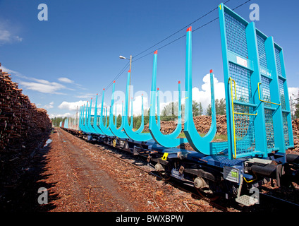 View of railroad depot for log transport and storage , log piles and long empty cargo log train cars for transporting timber and logs , Finland Stock Photo