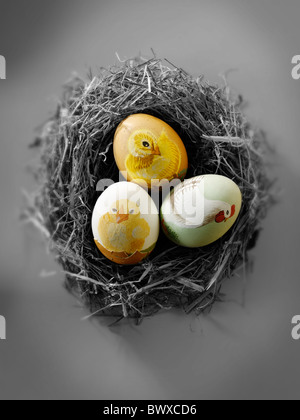 traditional painted Easter chicken egg in a straw birds nest - concept decoration Stock Photo