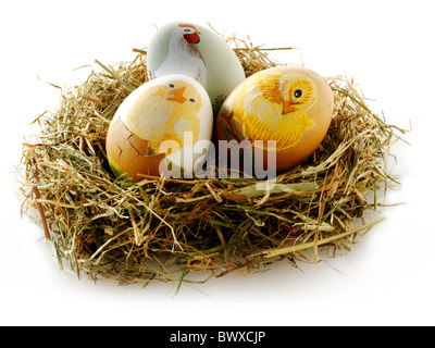 Hand painted chicken eggs with traditional Easter chicks design as an Easter gift against a white background for cut out Stock Photo