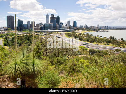 Perth cityscape seen through grass trees in King's Park Western Australia Stock Photo