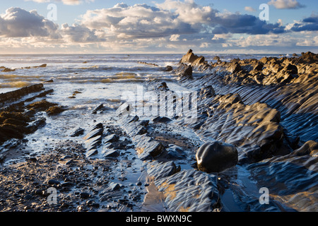 Welcombe Mouth, Devon, UK Stock Photo