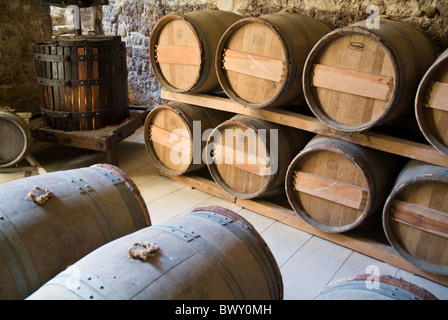Rows of wooden wine barrels in the cellar of a winery, Cazeneuve, Gers, France. Stock Photo