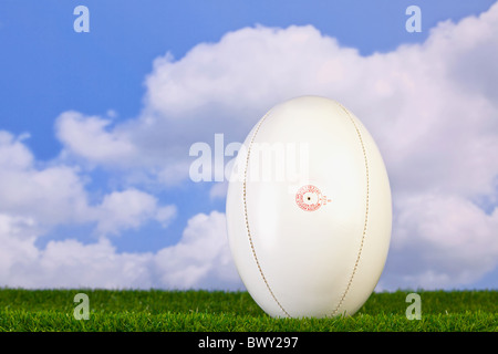 Photo of a rugby ball tee'd up on grass with sky background. Stock Photo